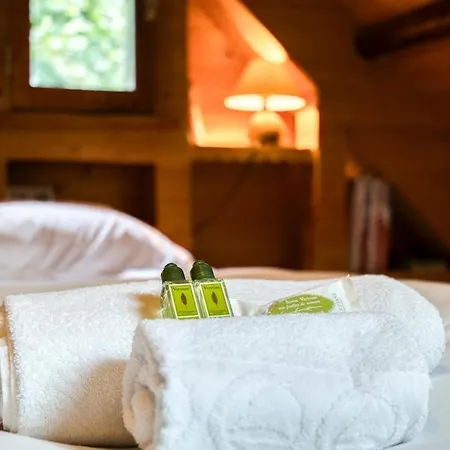 Cocoon With Pool Chalet Bluffy